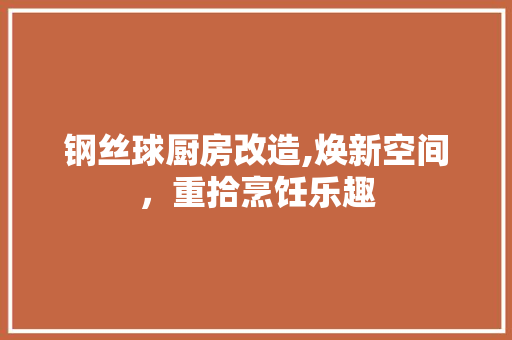 钢丝球厨房改造,焕新空间，重拾烹饪乐趣