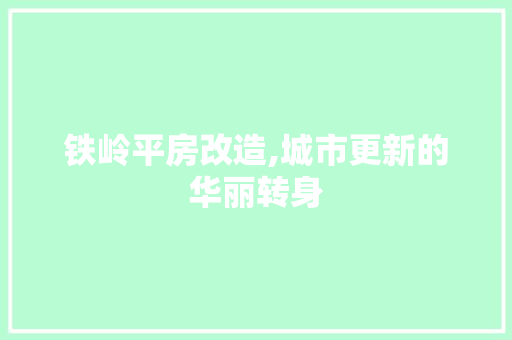 铁岭平房改造,城市更新的华丽转身