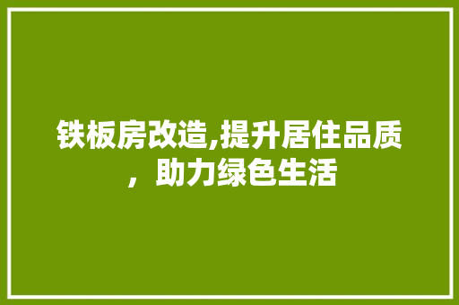 铁板房改造,提升居住品质，助力绿色生活