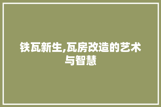铁瓦新生,瓦房改造的艺术与智慧 庭院装修 铁瓦新生,瓦房改造的艺术与智慧 庭院装修