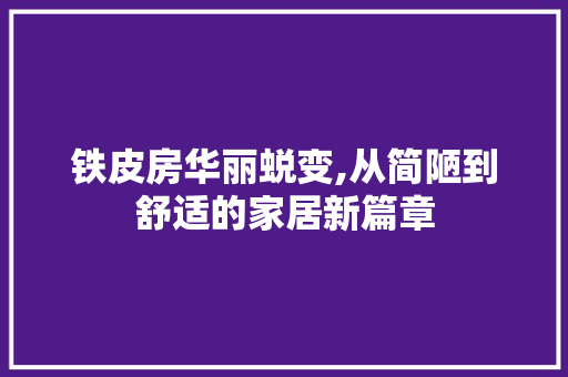 铁皮房华丽蜕变,从简陋到舒适的家居新篇章