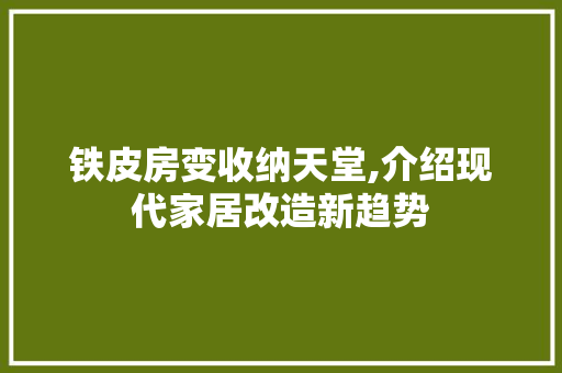 铁皮房变收纳天堂,介绍现代家居改造新趋势 墙面装饰