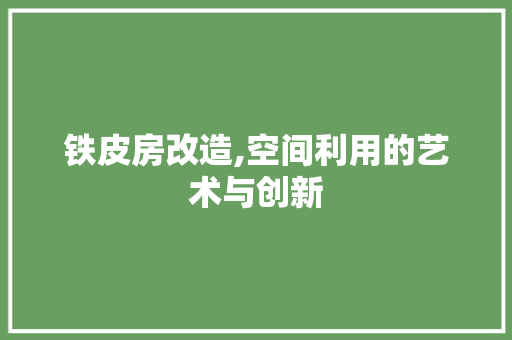 铁皮房改造,空间利用的艺术与创新
