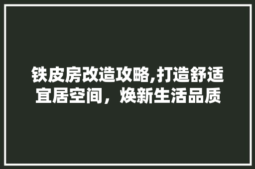 铁皮房改造攻略,打造舒适宜居空间，焕新生活品质 门窗装修