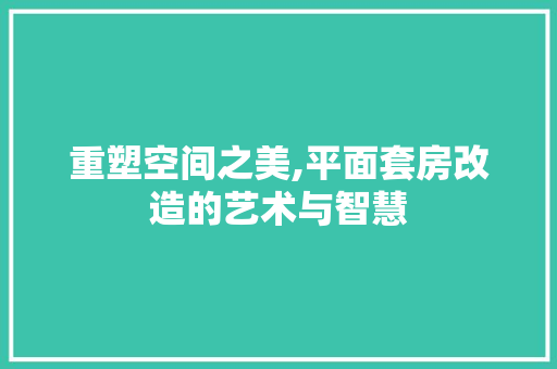 重塑空间之美,平面套房改造的艺术与智慧