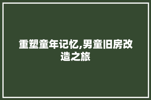 重塑童年记忆,男童旧房改造之旅