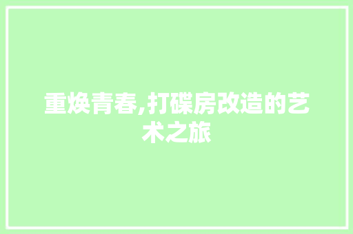 重焕青春,打碟房改造的艺术之旅