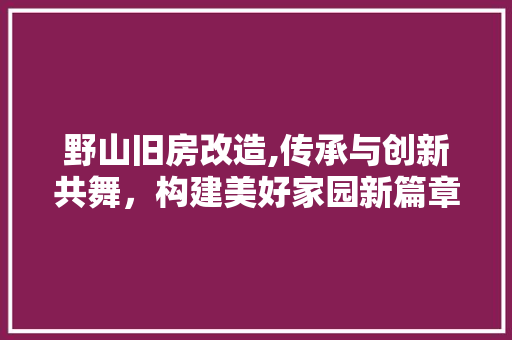 野山旧房改造,传承与创新共舞，构建美好家园新篇章