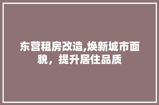 东营租房改造,焕新城市面貌，提升居住品质