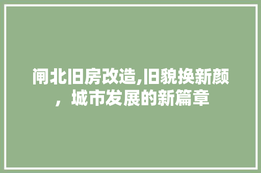 闸北旧房改造,旧貌换新颜，城市发展的新篇章 墙面装饰