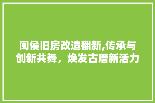闽侯旧房改造翻新,传承与创新共舞，焕发古厝新活力 装修材料
