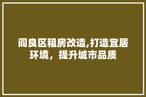 阎良区租房改造,打造宜居环境，提升城市品质