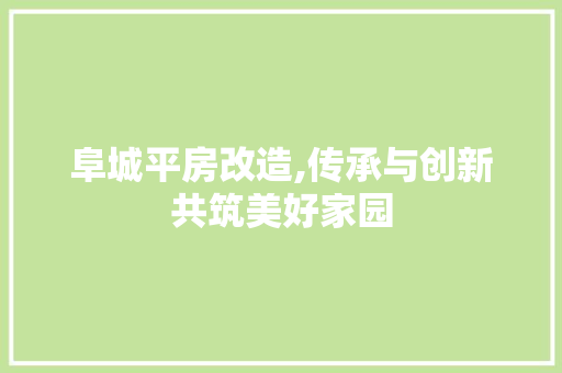阜城平房改造,传承与创新共筑美好家园 景观设计