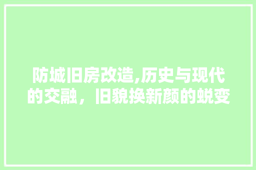 防城旧房改造,历史与现代的交融，旧貌换新颜的蜕变之旅
