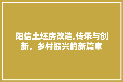 阳信土坯房改造,传承与创新，乡村振兴的新篇章 装修材料