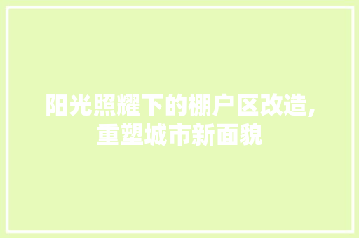 阳光照耀下的棚户区改造,重塑城市新面貌