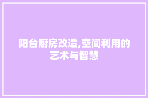 阳台厨房改造,空间利用的艺术与智慧