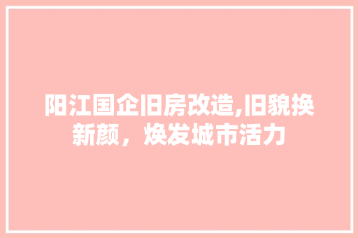阳江国企旧房改造,旧貌换新颜，焕发城市活力 门窗装修