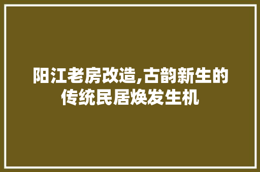 阳江老房改造,古韵新生的传统民居焕发生机
