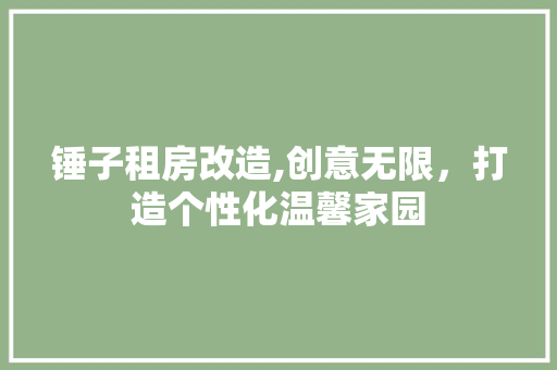 锤子租房改造,创意无限，打造个性化温馨家园