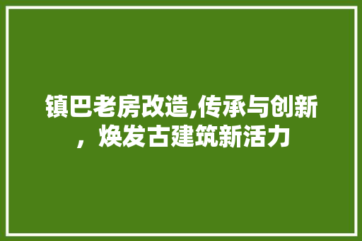 镇巴老房改造,传承与创新，焕发古建筑新活力