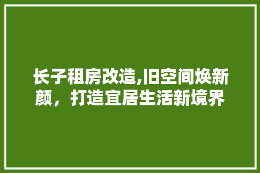 长子租房改造,旧空间焕新颜，打造宜居生活新境界