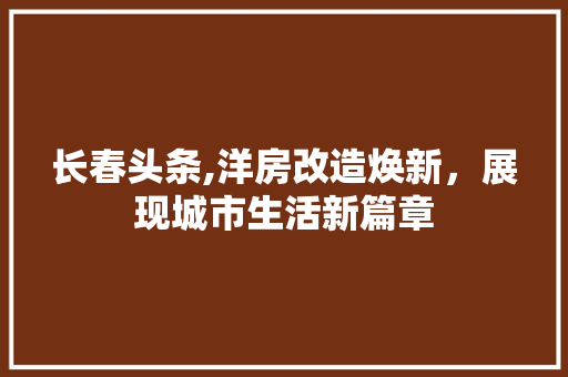 长春头条,洋房改造焕新，展现城市生活新篇章