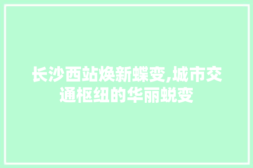 长沙西站焕新蝶变,城市交通枢纽的华丽蜕变 建筑设计