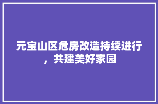 元宝山区危房改造持续进行，共建美好家园 建筑设计