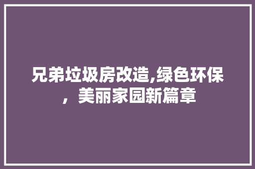 兄弟垃圾房改造,绿色环保，美丽家园新篇章