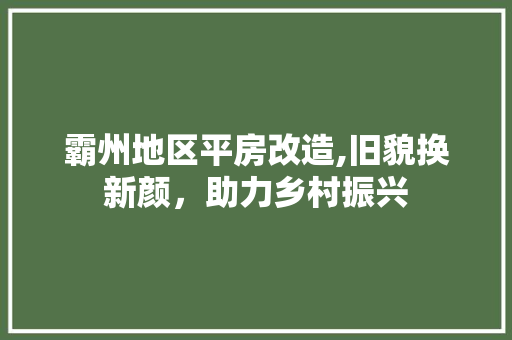霸州地区平房改造,旧貌换新颜，助力乡村振兴