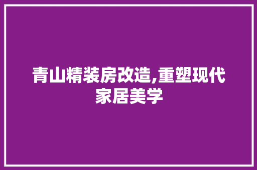青山精装房改造,重塑现代家居美学