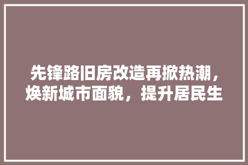 先锋路旧房改造再掀热潮，焕新城市面貌，提升居民生活品质