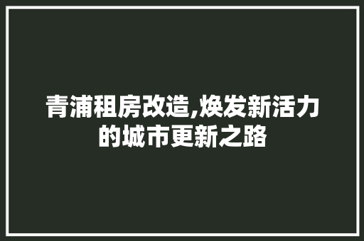 青浦租房改造,焕发新活力的城市更新之路