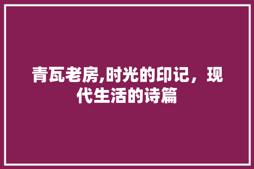 青瓦老房,时光的印记，现代生活的诗篇 门窗装修