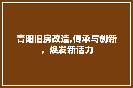青阳旧房改造,传承与创新，焕发新活力