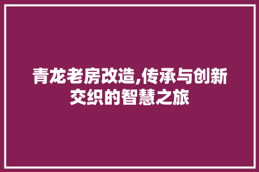 青龙老房改造,传承与创新交织的智慧之旅