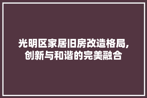 光明区家居旧房改造格局,创新与和谐的完美融合 墙面装饰