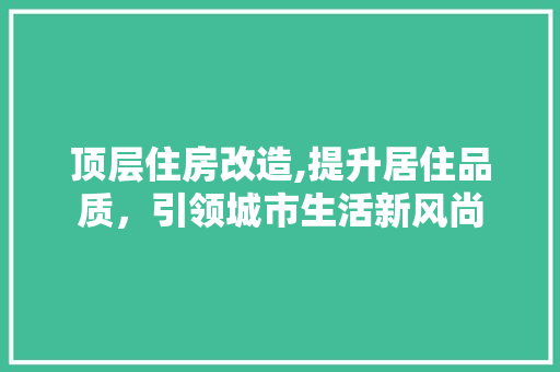 顶层住房改造,提升居住品质，引领城市生活新风尚
