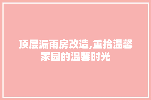 顶层漏雨房改造,重拾温馨家园的温馨时光 装修材料