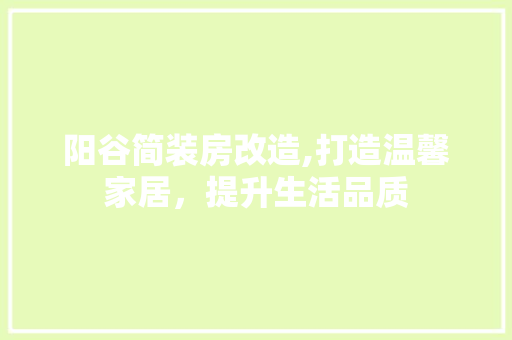阳谷简装房改造,打造温馨家居，提升生活品质