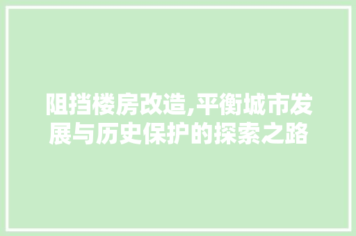 阻挡楼房改造,平衡城市发展与历史保护的探索之路