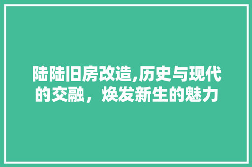 陆陆旧房改造,历史与现代的交融，焕发新生的魅力