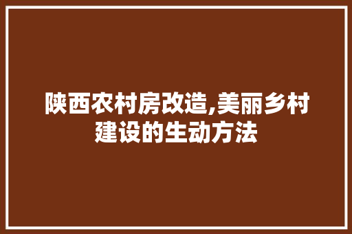 陕西农村房改造,美丽乡村建设的生动方法