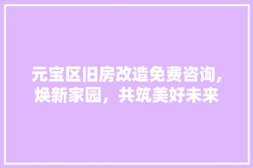 元宝区旧房改造免费咨询,焕新家园，共筑美好未来