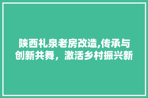 陕西礼泉老房改造,传承与创新共舞，激活乡村振兴新活力 地面装修