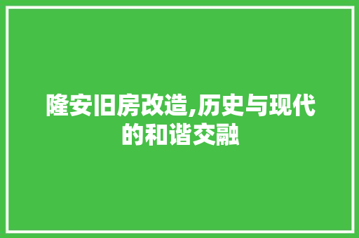 隆安旧房改造,历史与现代的和谐交融 装修攻略