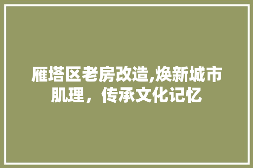 雁塔区老房改造,焕新城市肌理，传承文化记忆
