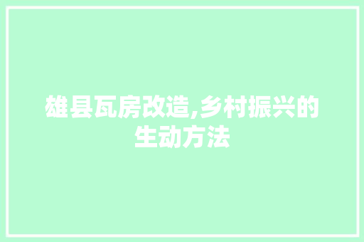 雄县瓦房改造,乡村振兴的生动方法