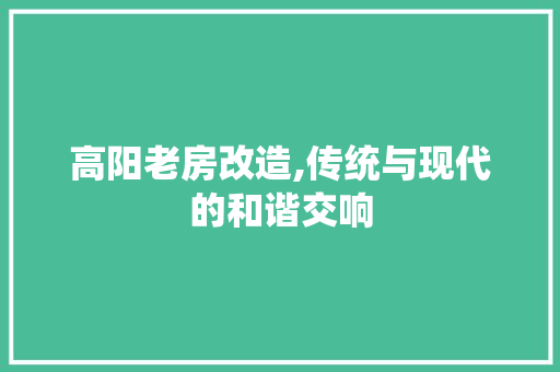高阳老房改造,传统与现代的和谐交响